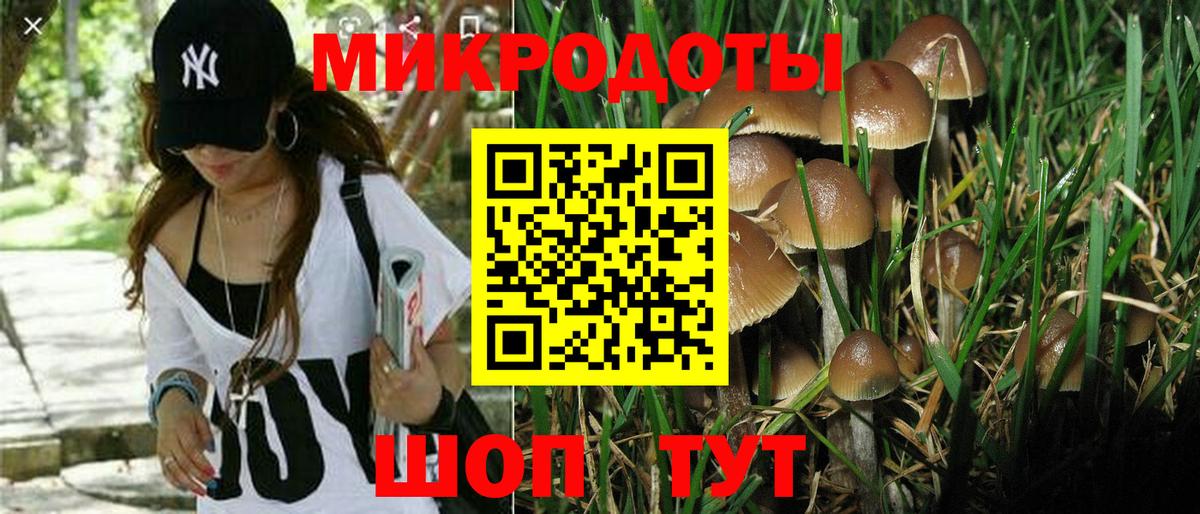 Галлюциногенные грибы GOLDEN TEACHER Фурманов